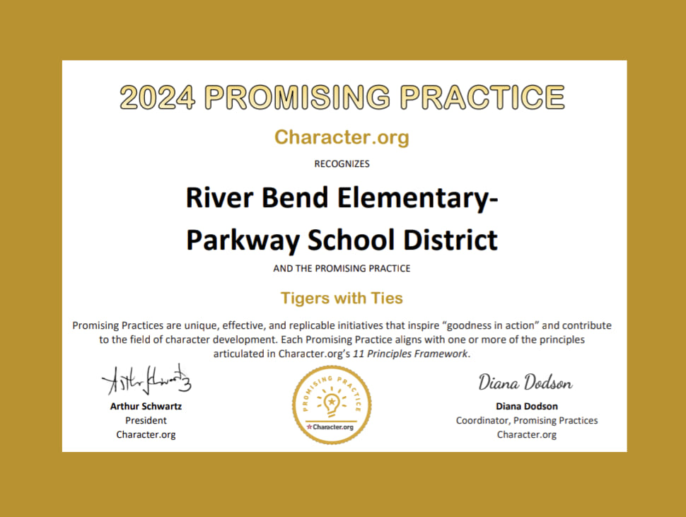  Promising Practices